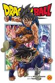 Dragon Ball Super 20 Super Volume 20