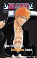 Bleach - Official Character Book 1 - SOULs.