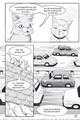 Warrior Cats - Manga 2 - Toevluchtsoord voor krijgers