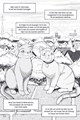 Warrior Cats - Manga 2 - Toevluchtsoord voor krijgers