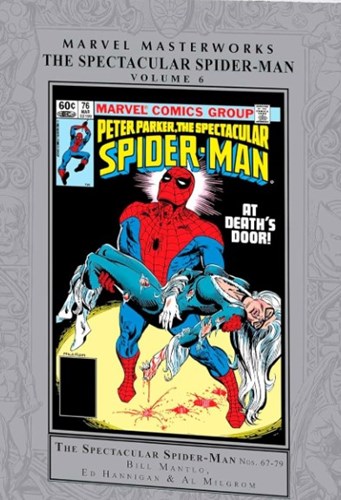 Marvel Masterworks 343 / Spectacular Spider-Man 6 - The Spectacular Spider-Man - Volume 6